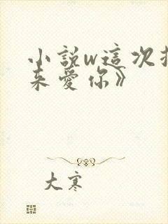 小说w这次换我来爱你》