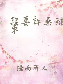 段嘉许桑稚浴室车