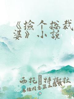 《捡个总裁做老婆》小说