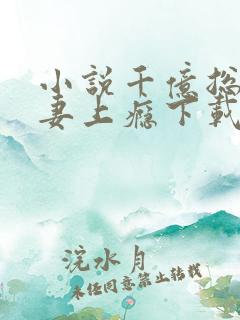 小说千亿总裁宠妻上瘾下载