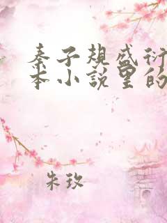 秦子规盛衍是哪本小说里的主角