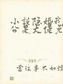 小说隐婚我的老公是大佬免费阅读