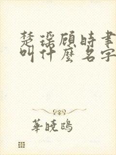 楚瑶顾时聿小说叫什么名字