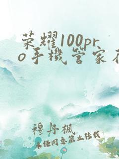 荣耀100pro手机管家在哪里