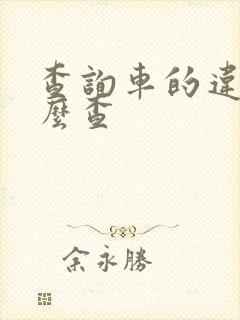 查询车的违章怎么查