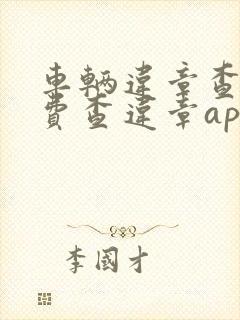 车辆违章查询免费查违章app哪个好用