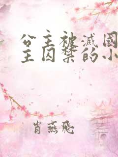 公主被灭国被男主囚禁的小说