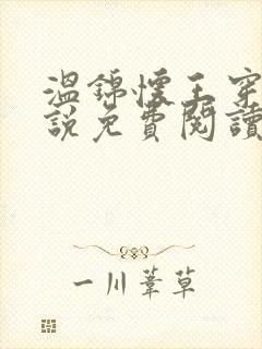 温锦怀王穿越小说免费阅读无弹窗