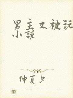 男主又被玩坏了小说