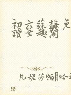 初六苏梅免费阅读笔趣阁