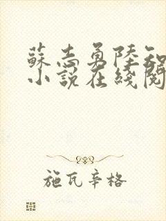 苏志勇陆知夏的小说在线阅读