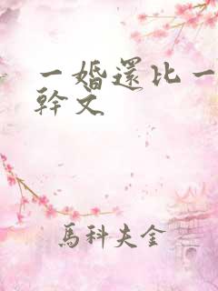 一婚还比一婚高干文