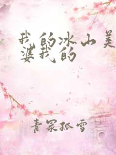 我的冰山美女老婆我的