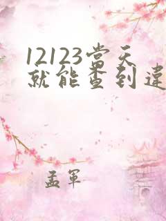 12123当天就能查到违章了