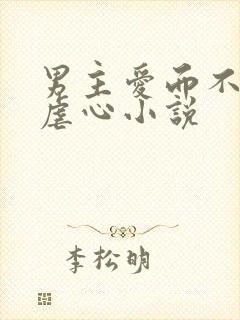 男主爱而不得的虐心小说