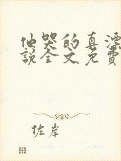 他哭的真漂亮小说全文免费阅读