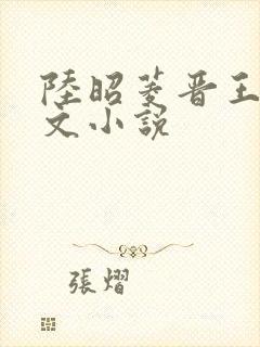 陆昭菱晋王的全文小说