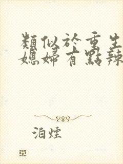 类似于重生八零媳妇有点辣的小说