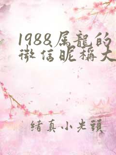 1988属龙的微信昵称大全