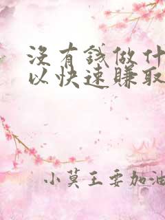 没有钱做什么可以快速赚取更多钱