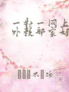 一对一网上英语外教哪家好