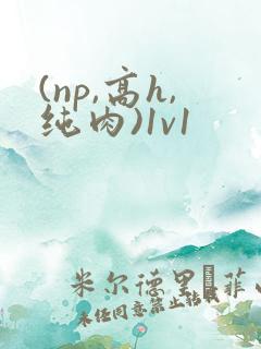 (np,高h,纯肉)1v1