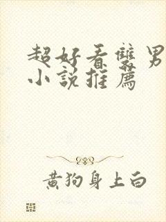 超好看双男主的小说推荐