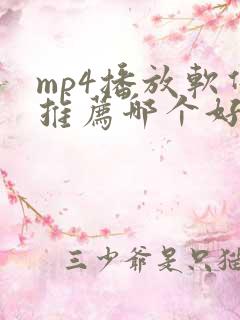 mp4播放软件推荐哪个好