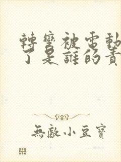 转弯被电动车撞了是谁的责任