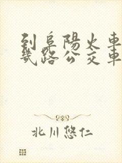 到阜阳火车站坐几路公交车