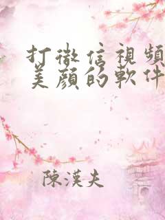 打微信视频可以美颜的软件