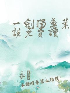 一剑独尊叶玄小说免费读