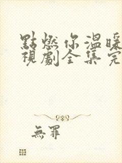 点燃你温暖我电视剧全集完整版免费