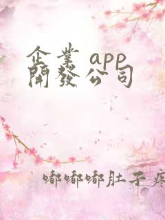 企业 app 开发公司