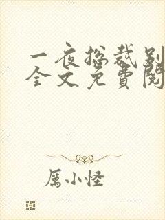 一夜总裁别太猛全文免费阅读