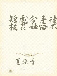 短剧分手后高冷校花她悔不当初