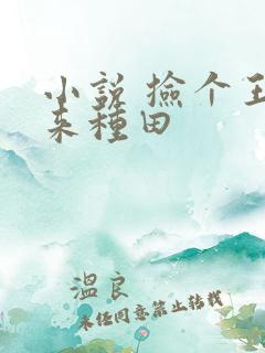 小说 捡个王爷来种田
