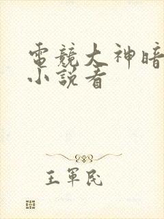 电竞大神暗恋我小说看