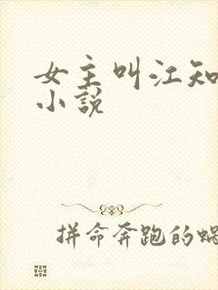 女主叫江知意的小说