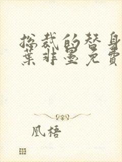 总裁的替身前妻叶非墨免费版