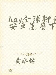 hay全球聊天安卓怎么下载