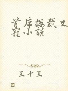 首席总裁又甜又宠小说