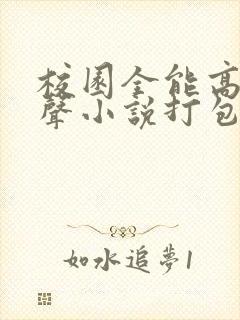 校园全能高手有声小说打包下载