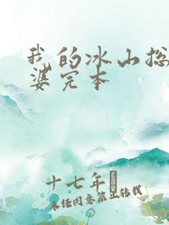 我的冰山总裁老婆完本