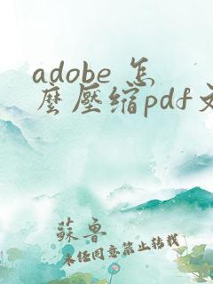 adobe 怎么压缩pdf文件