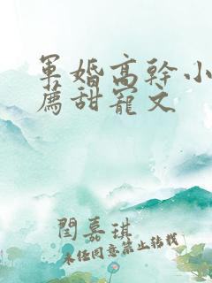 军婚高干小说推荐甜宠文