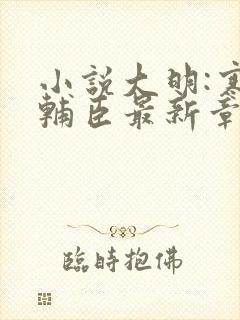 小说大明:寒门辅臣最新章节