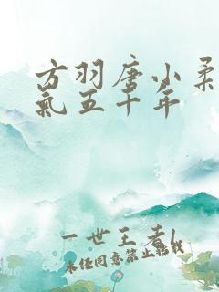 方羽唐小柔 炼气五千年