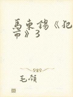 马东锡《犯罪都市》3