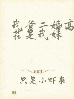 我爸二婚高冷校花是我妹